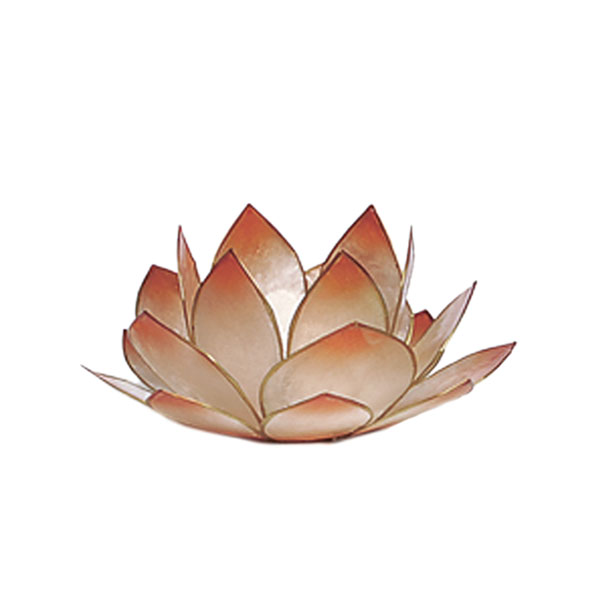 Lotus Licht Capiz mandarin