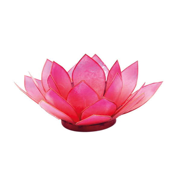 Lotus-Licht coralpink