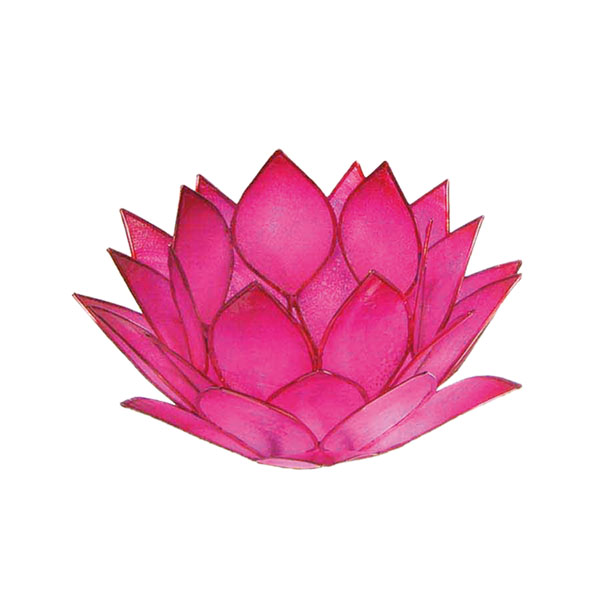 Lotus-Licht pink