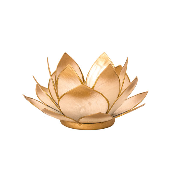 Lotus-Licht gold