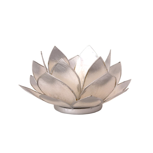 Lotus-Licht silber