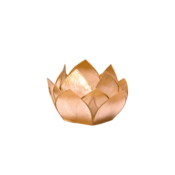 Lotus-Licht gold