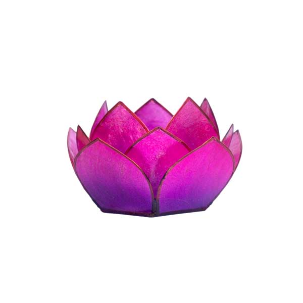 Lotus Licht coralpink