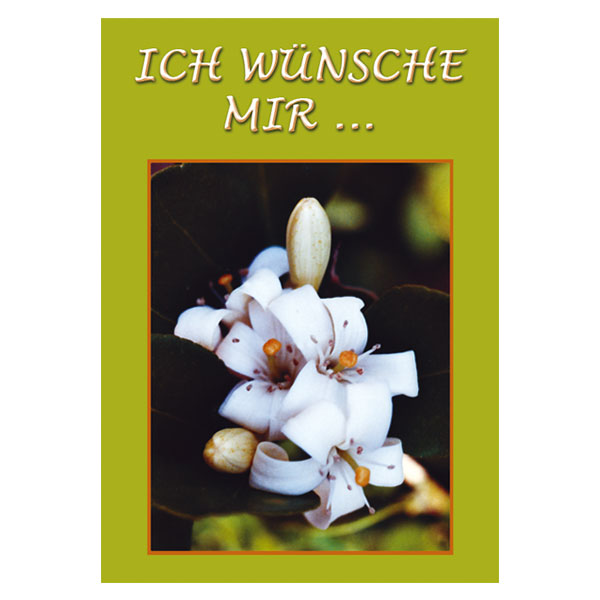 Ich wünsche mir …