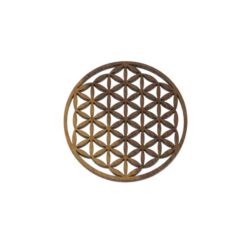 Blume des Lebens in Nuss Vollholz - 14 cm