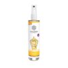 Yogaduft Raumspray BIO/demeter 50 ml