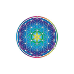 Flower of Life Mandala, Sticker groß
