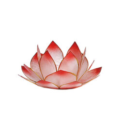 Lotus-Licht Capiz rosé