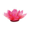 Lotus-Licht coralpink