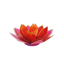 Lotus-Licht pink-rot-orange
