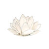 Lotus-Licht weiß